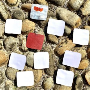 Illustration des packs Zest' : éducatifs pour enfants sur les couleurs, la nature et la faune.