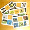 Illustration des packs Zest' : éducatifs pour enfants sur les couleurs, la nature et la faune